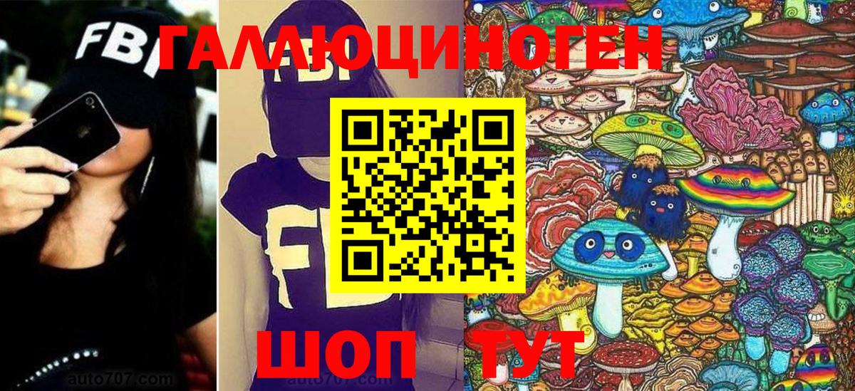 Галлюциногенные грибы Psilocybe Керчь